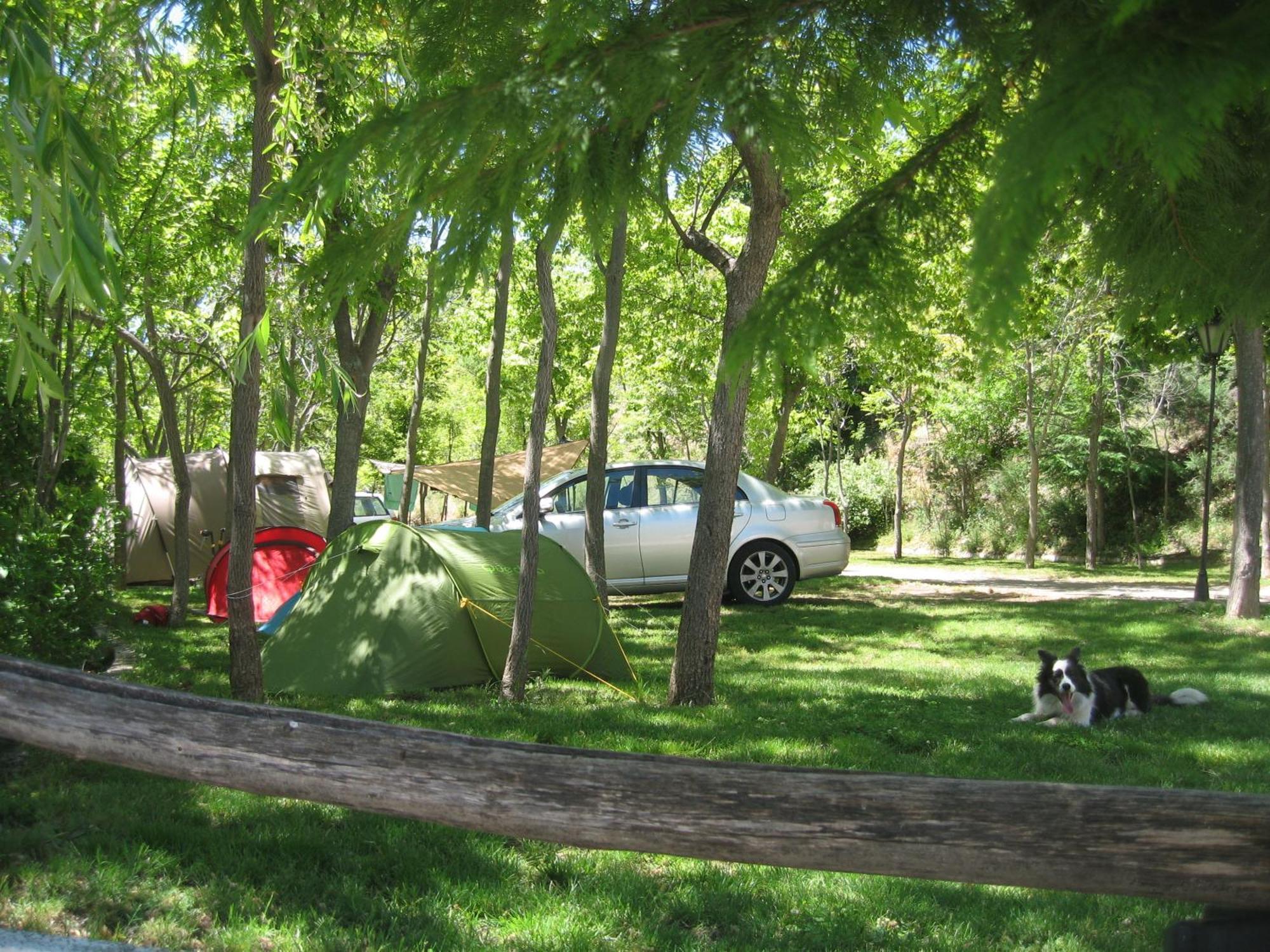 Camping Trevelez Ngoại thất bức ảnh